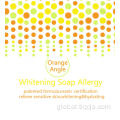 Pure Artificial Production Orange enzyme Hand Soap Supplier